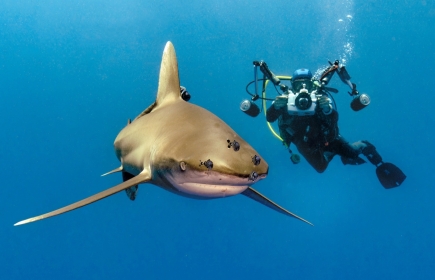 Heinz Toperczer, Unterwasserfotograf, Reisejournalist und Tourguides bei der Arbeit